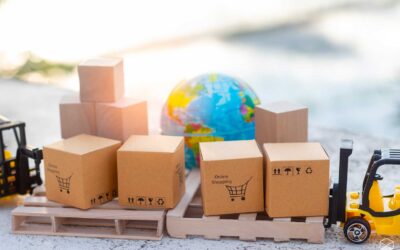 Siti per spedire pacchi economici: guida ai migliori in rete