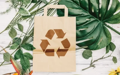 Spedizioni ecologiche: la soluzione per ridurre l’impatto ambientale
